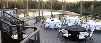 Patio and Pond