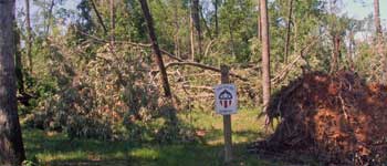 Tornado Damage 5